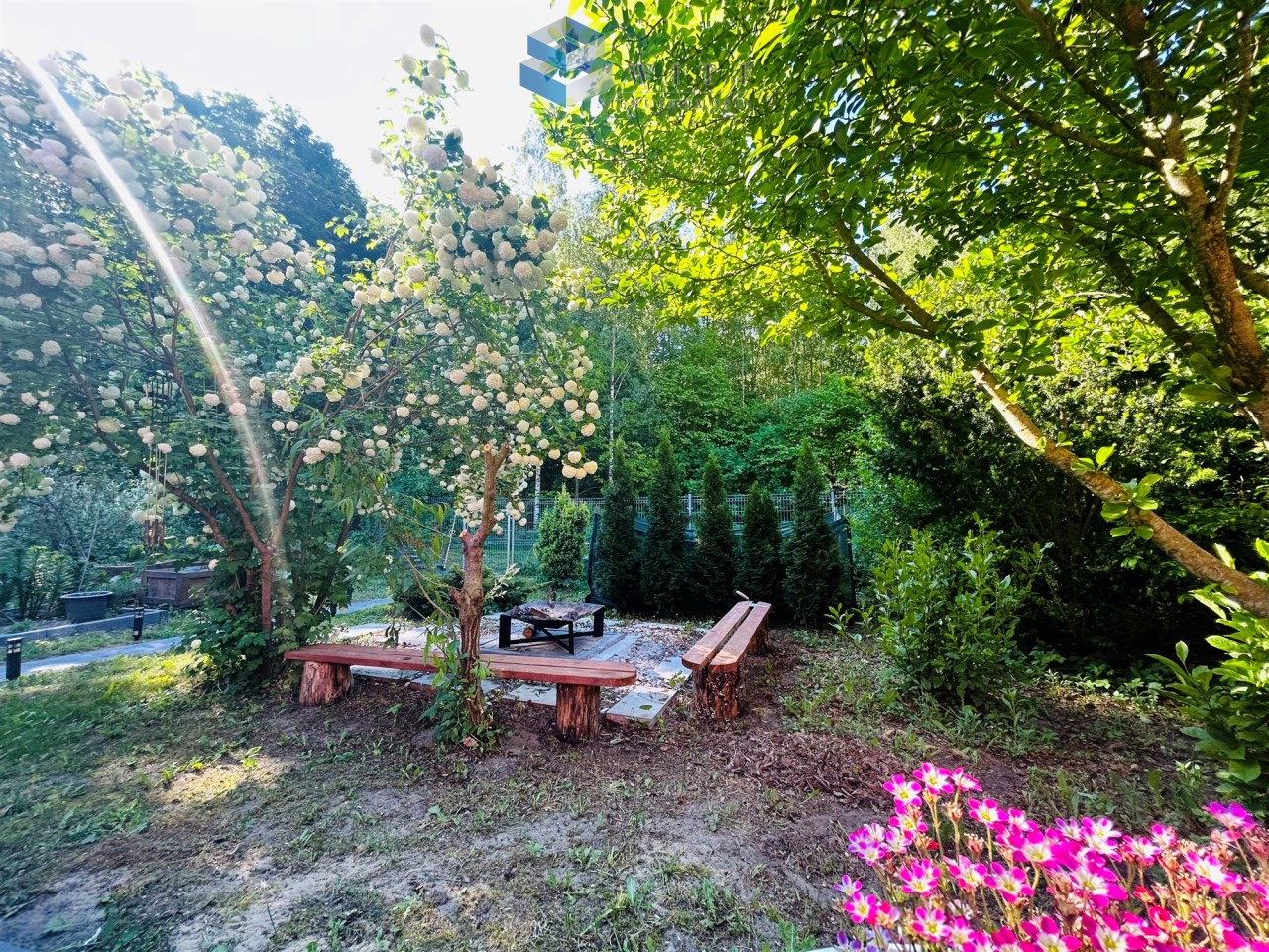 Ogród z białymi kwiatami na drzewach, drewnianą ławką i różowymi kwiatami, otoczony zielenią i krzewami.