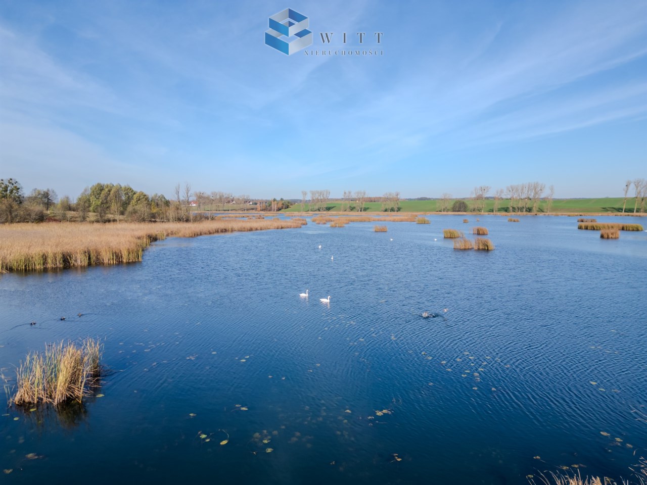 Widok na spokojną wodę z trzcinami i pływającymi łabędziami, otoczoną zielonymi wzgórzami i błękitnym niebem.