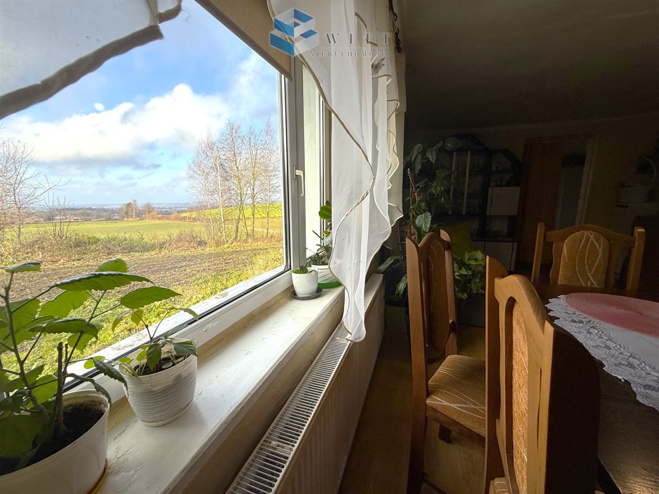 Widok z okna na zielone pola, drzewka i rośliny doniczkowe na parapecie, przytulne wnętrze z drewnianym stołem i krzesłami.