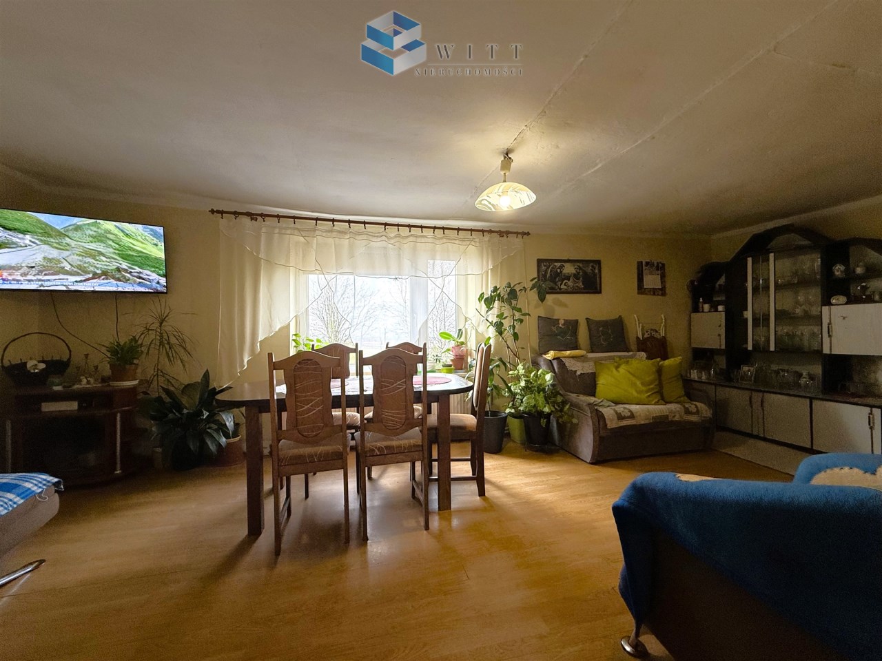 Wnętrze przytulnego salonu z drewnianym stołem i krzesłami, telewizorem na ścianie, roślinami doniczkowymi oraz wygodnymi kanapami. Jasne okno z zasłonami wpuszcza naturalne światło.