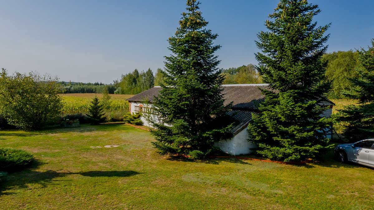 Widok na dom otoczony drzewami iglastymi na tle zielonych pól i błękitnego nieba.