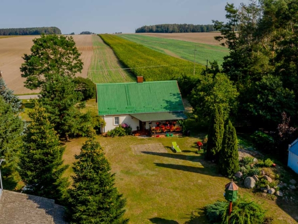 Widok na wiejski dom z zielonym dachem otoczony drzewami, z rozległymi polami w tle.