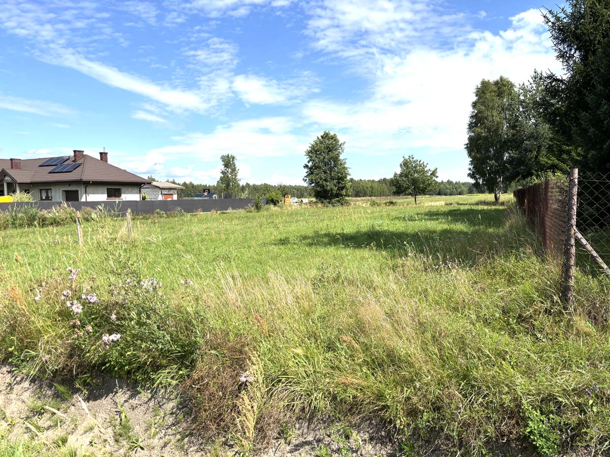 Widok na wiejską okolicę z zielonymi polami, drzewami i domami, z ogrodzeniem w tle oraz niebieskim niebem.