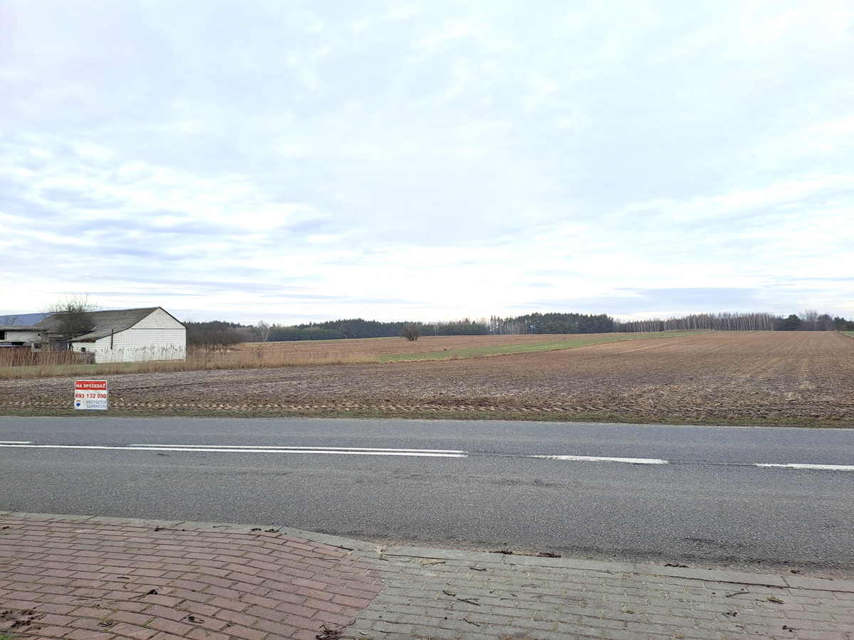 Widok na pole uprawne z widoczną drogą i tablicą ogłoszeniową "Na sprzedaż". W tle widać las i chmurzyste niebo.