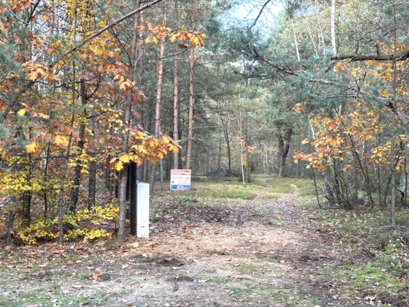 Ścieżka w lesie z widokiem na drzewa w jesiennych kolorach, z tablicą ogłoszeniową w tle.