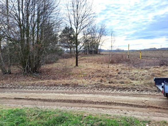 Widok na leśną drogę z widocznymi śladami opon, otoczoną drzewami i krzewami, z chmurami na niebie.