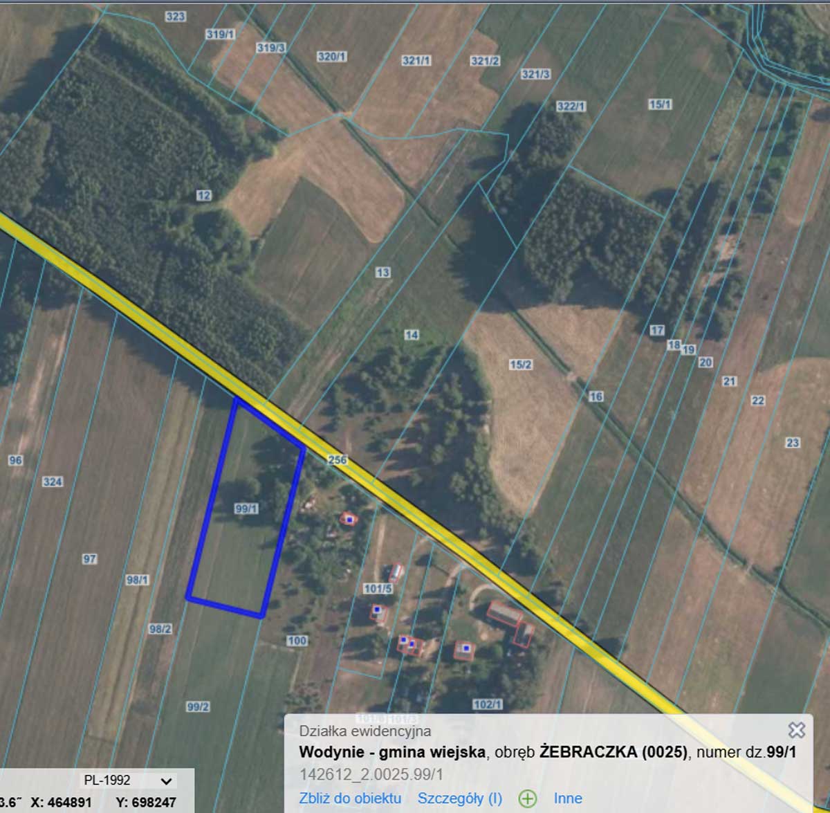 Mapa działki w gminie Wodynie, obszar Żebraczka, z zaznaczoną działką nr 99/1 oraz sąsiednimi terenami rolnymi i leśnymi.