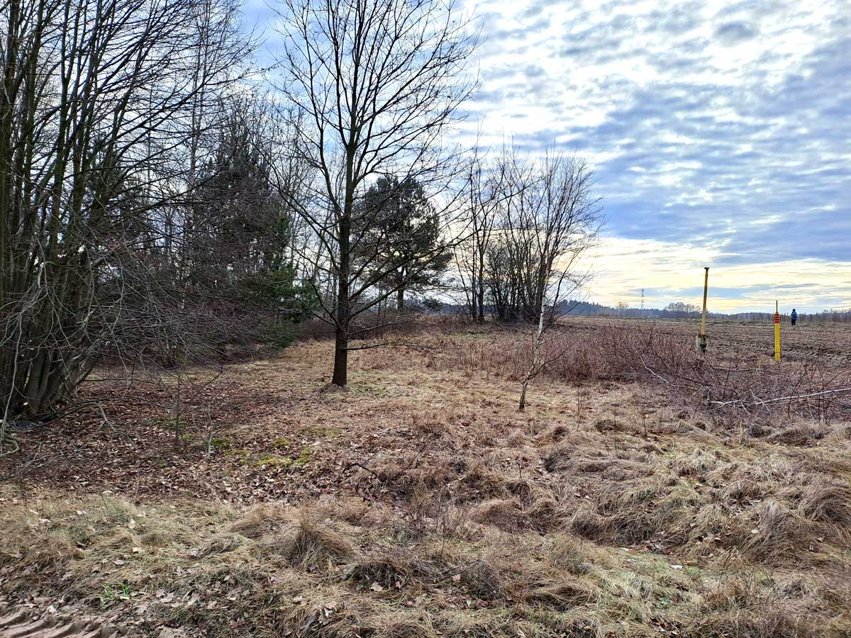 Widok na zalesiony teren z nagimi drzewami, suchą trawą i chmurami na niebie. W tle widać słupki oraz fragment otwartego pola.