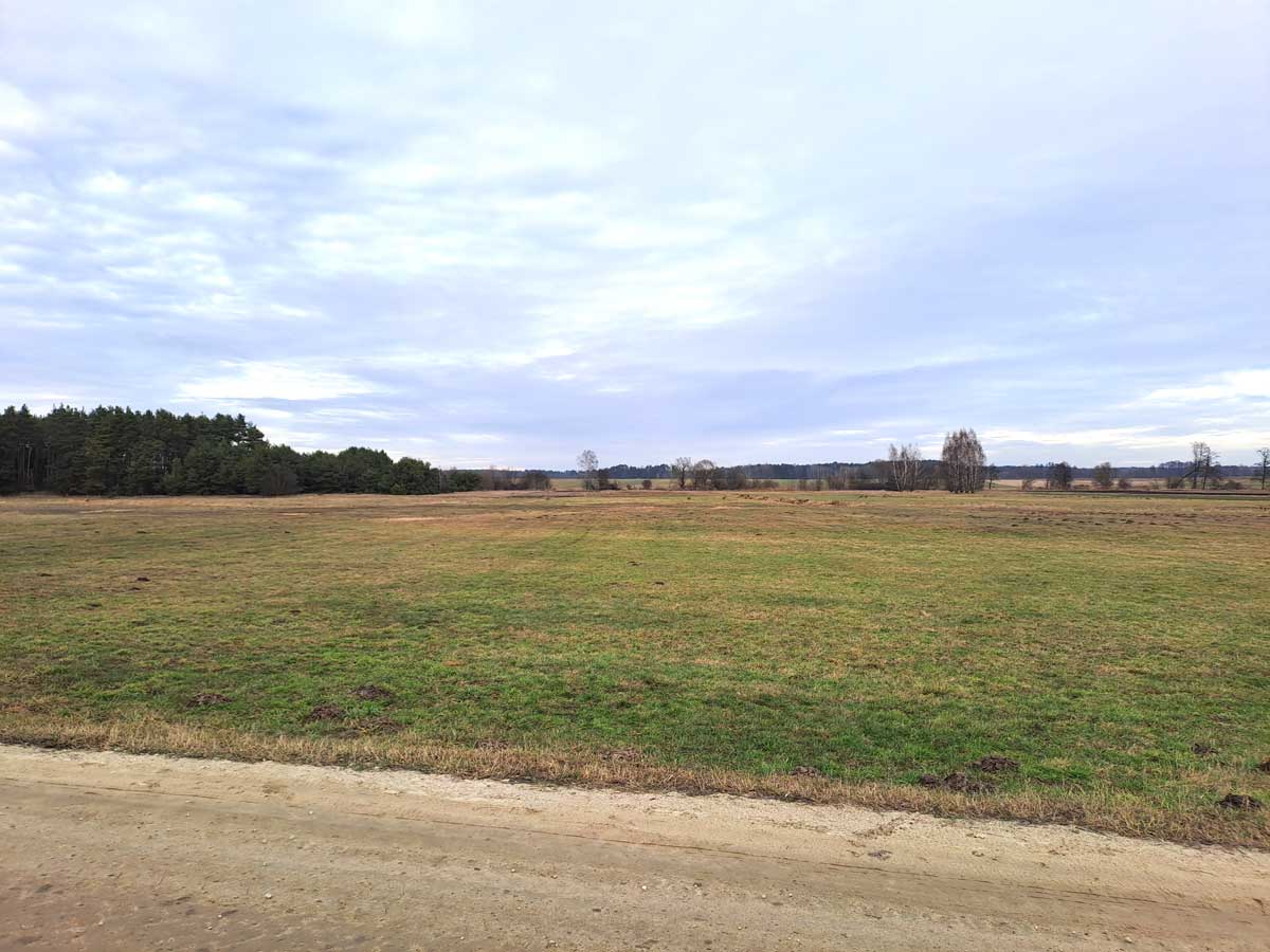 Widok na otwartą przestrzeń z zieloną łąką, w tle drzewa i jasne niebo.