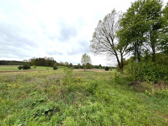 Widok na zieloną łąkę z drzewami i krzewami, z zachmurzonego nieba w tle.