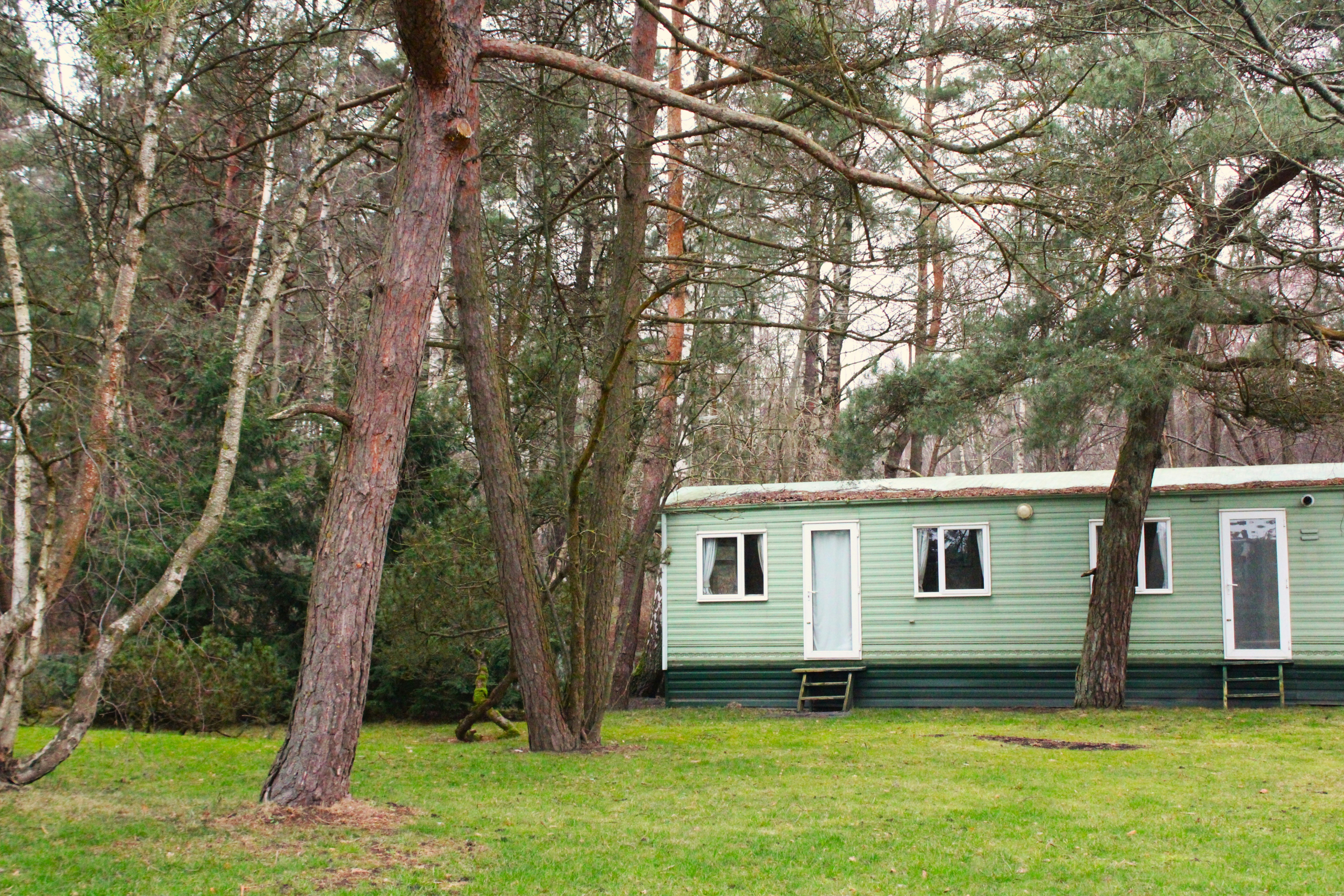 Zielony domek letniskowy otoczony drzewami w lesie, z widoczną trawą i ścieżką prowadzącą do drzwi. Idealne miejsce na wypoczynek w naturze.
