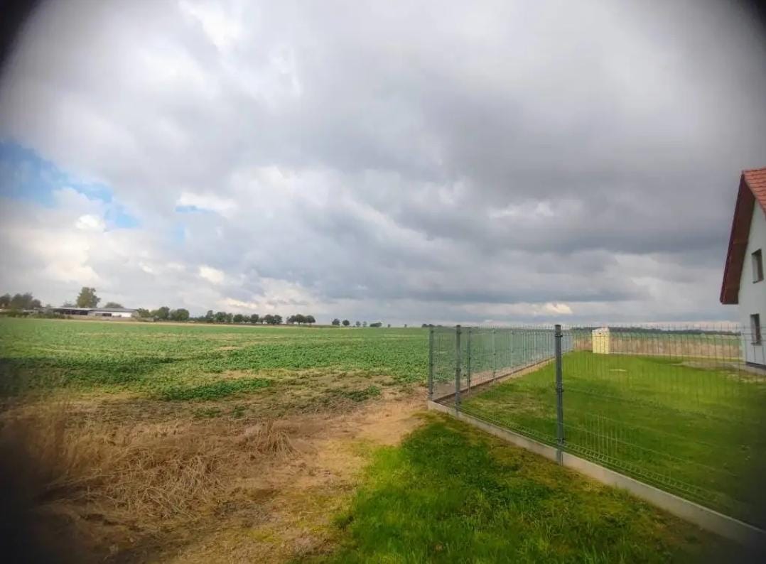 Widok na pole z zielonymi roślinami, ogrodzone siatką, z chmurami na niebie i domem w tle.