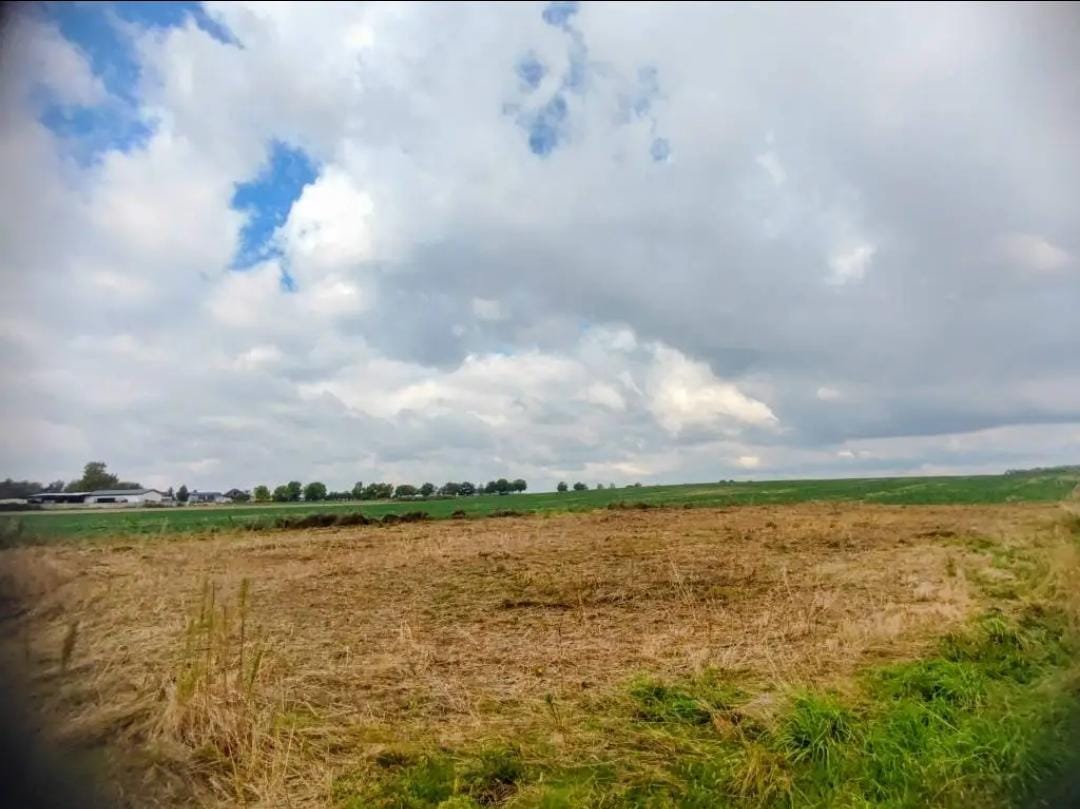 Widok na wiejskie pole z chmurami na niebie, w tle drzewa i zabudowania.